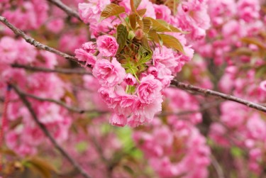 南通如东1线下个人借款平台一站式服务，轻松解决资金难题