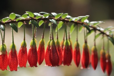 南通如东1零用贷短借：轻松解决临时资金需求